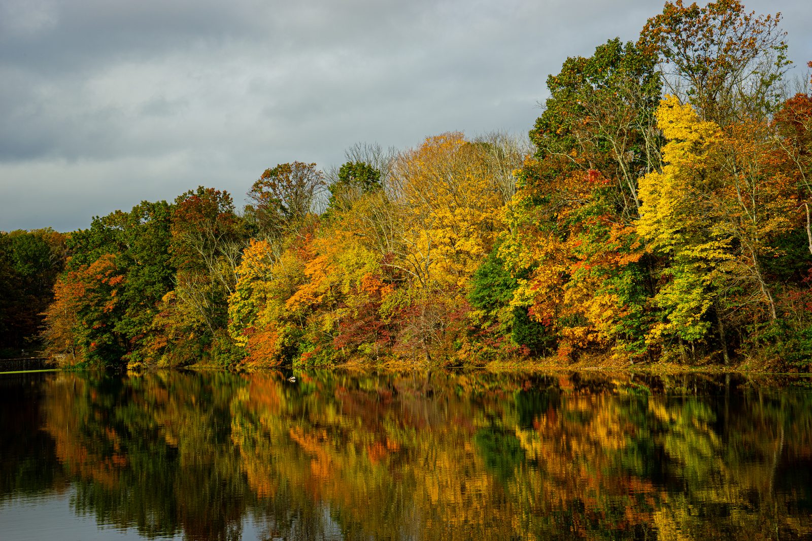 Autumn trees in red, orange and yellow reflected in a still lake under a grey sky